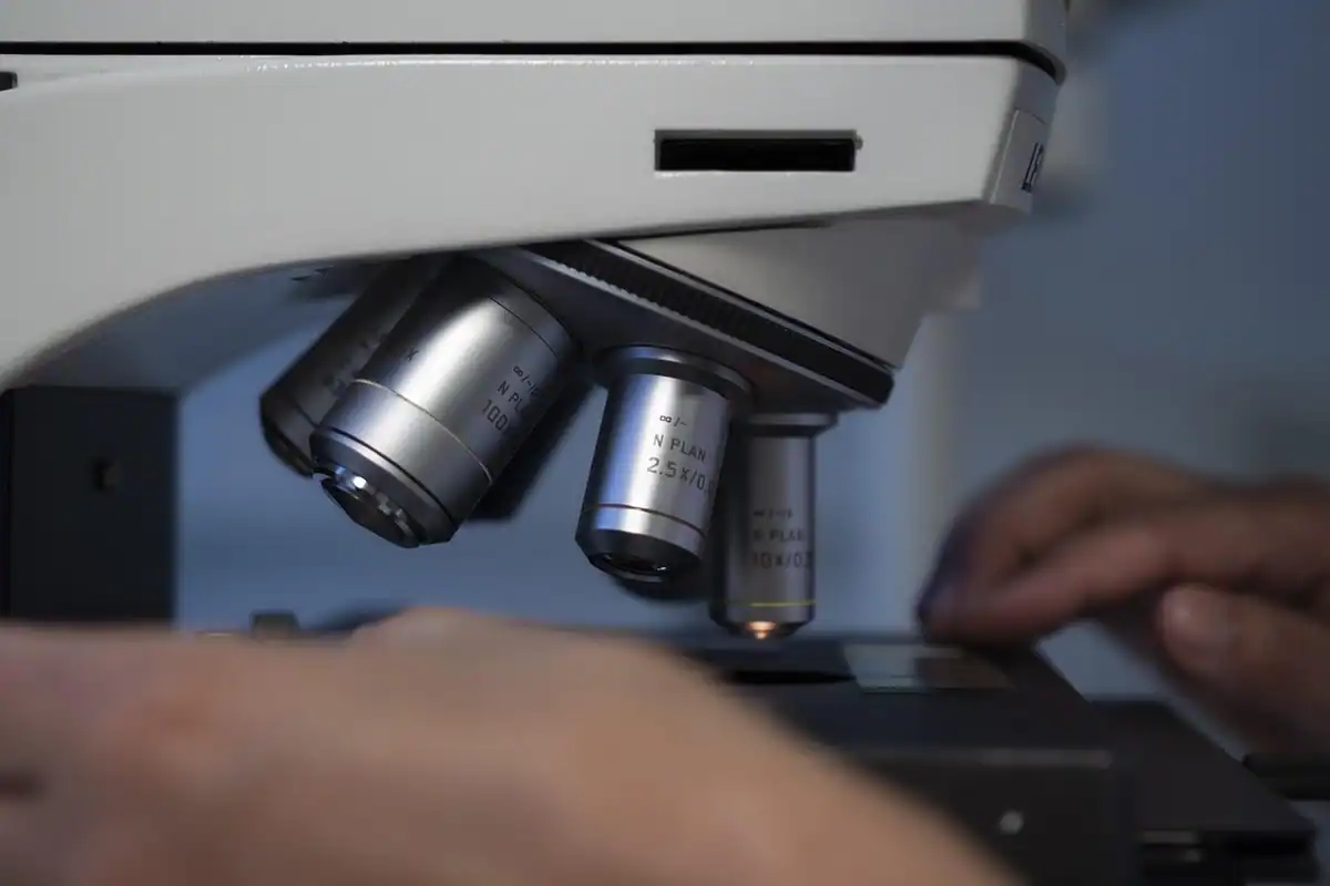 Mâini care reglează un microscop, în timp ce o probă este analizată în laborator