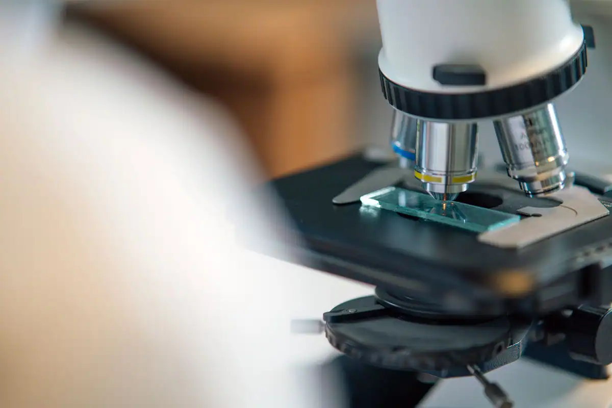 Lamă cu probă așezată sub obiectivele unui microscop, pentru analiză la nivel celular