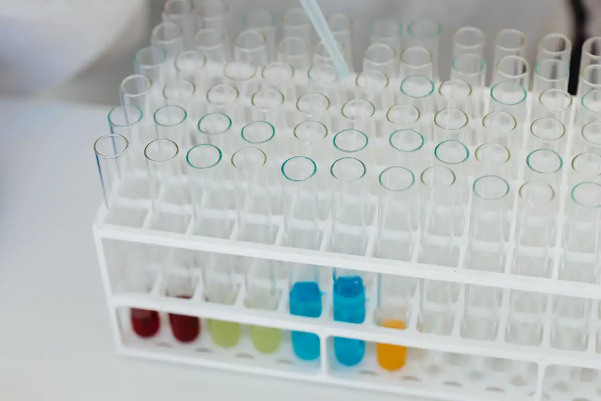 Stativ cu eprubete și soluții colorate, într-un laborator, văzut de aproape